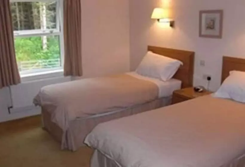 Отель Llwyn Onn Guest House