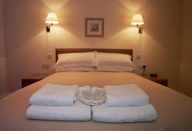 Отель Llwyn Onn Guest House