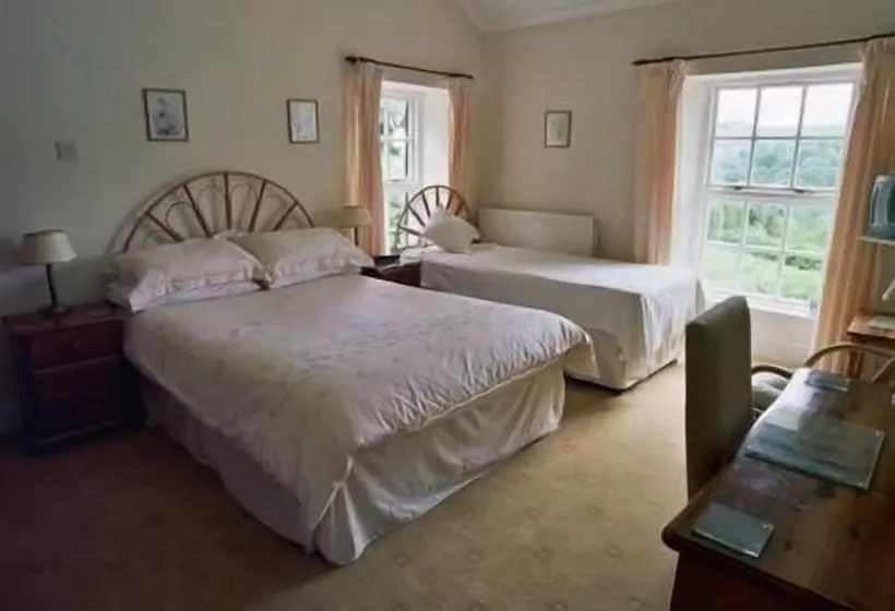 Отель Llwyn Onn Guest House