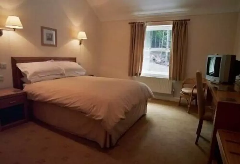 Отель Llwyn Onn Guest House