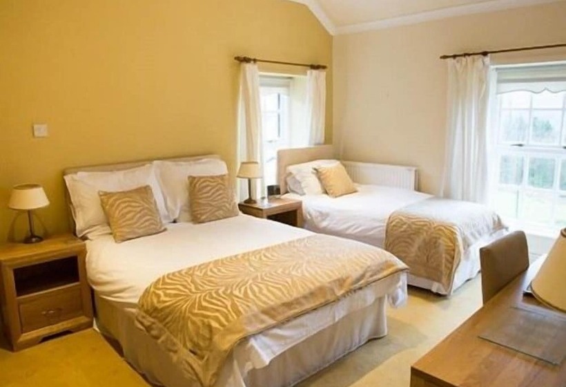 בית מלון כפרי Llwyn Onn Guest House