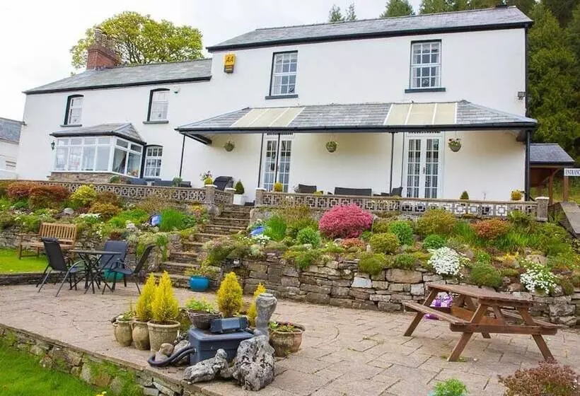 Отель Llwyn Onn Guest House