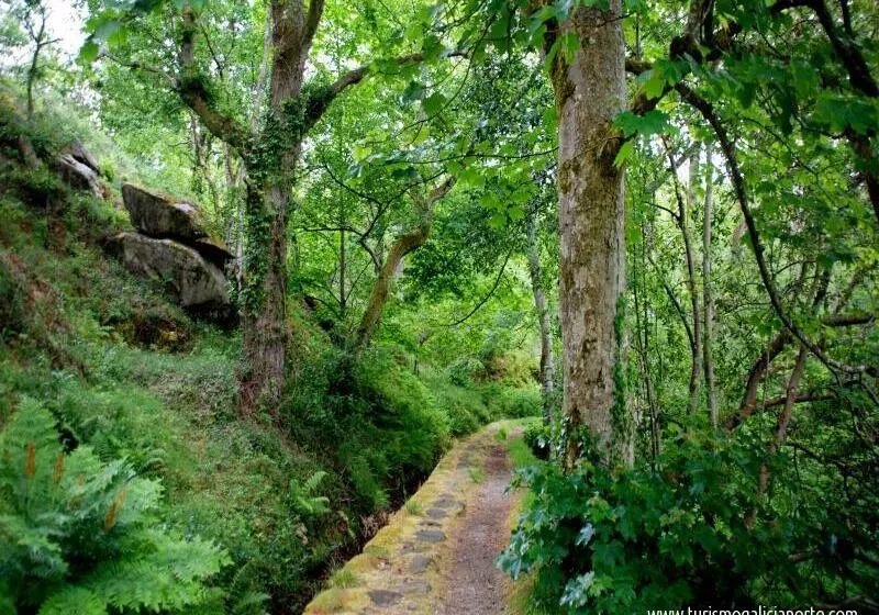 Отель Vila Do Val