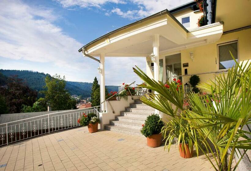 Wellnesshotel Rothfuß Mit Spa Und 2 Schwimmbädern