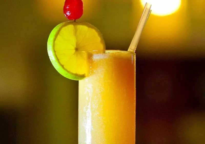 Vidam Hotel Aracaju   Transamerica Collection