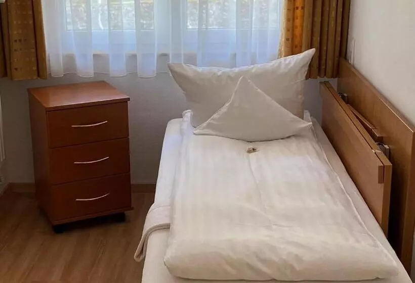 Wellnesshotel Rothfuß Mit Spa Und 2 Schwimmbädern