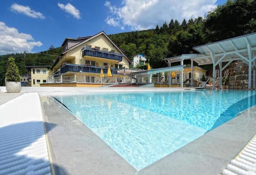 Wellnesshotel Rothfuß Mit Spa Und 2 Schwimmbädern