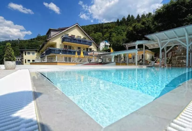 Wellnesshotel Rothfuß Mit Spa Und 2 Schwimmbädern
