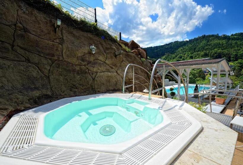 Wellnesshotel Rothfuß Mit Spa Und 2 Schwimmbädern