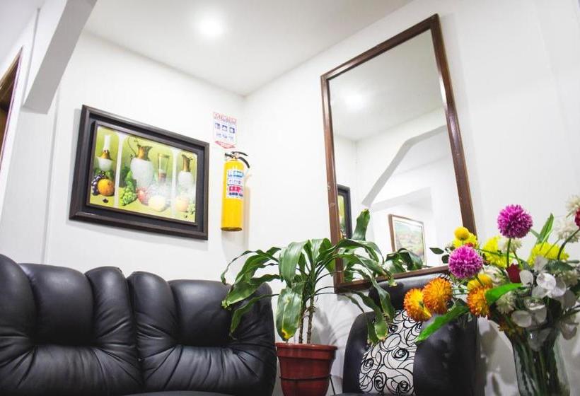 מלון כמוסות Punto 100