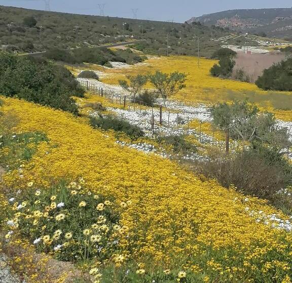 호스텔 Bokkomblommetjie