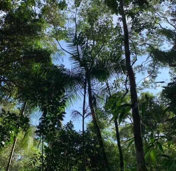 ホテル Fazenda Castelo Santa Clara