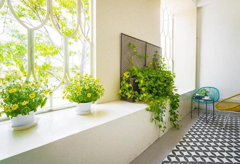 Sun City Hotel Da Nang