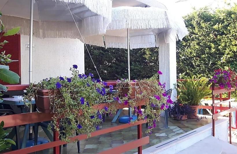 بنسيون Villa Orizzonte