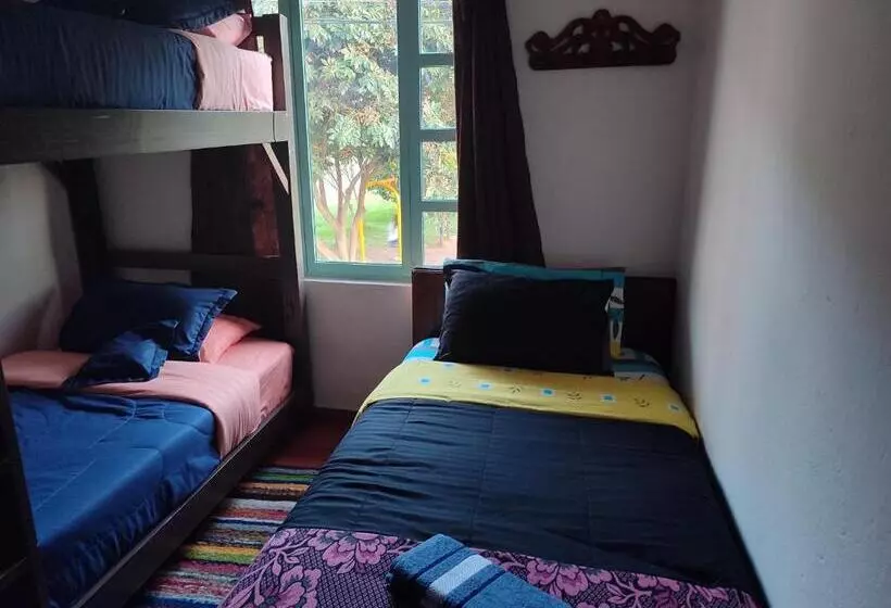 ペンション Hospedaje La Casa De Chavela Centro Histórico