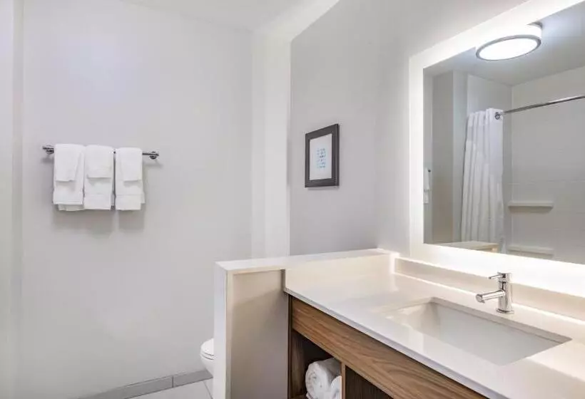 Hotelli Holiday Inn Express & Suites   Lincoln Downtown , An Ihg