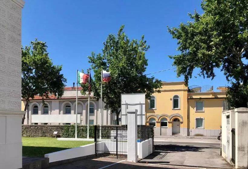 Panorama Apartment