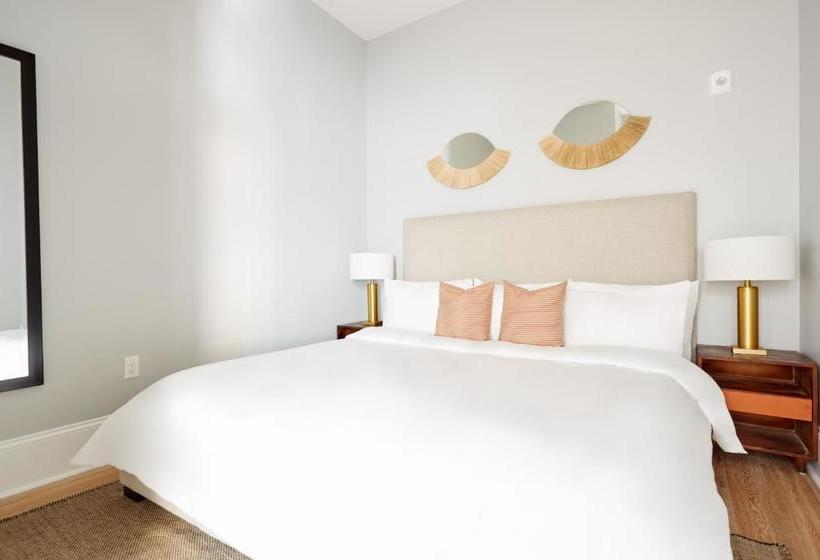 Sonder At The Vitascope