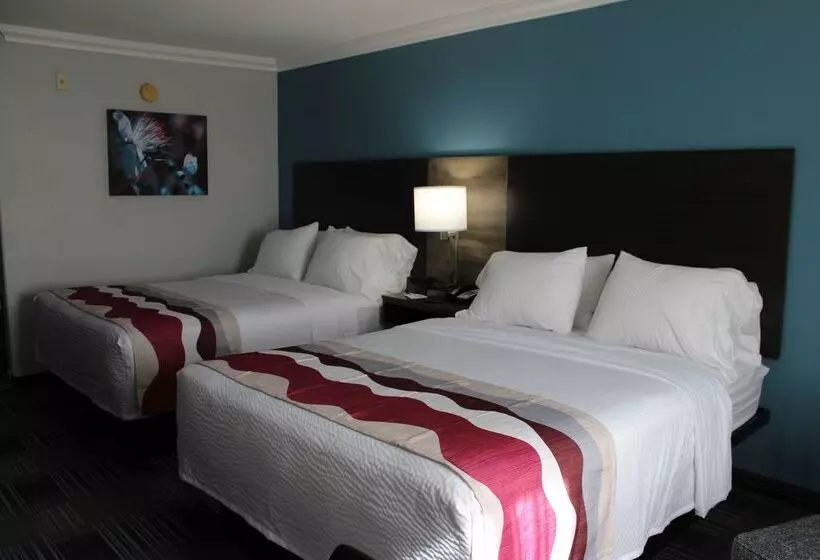 בית מלון כפרי Best Western Medical Center North Inn & Suites Near Six Flags