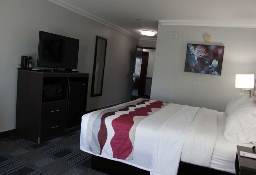 هتل Best Western Medical Center North Inn & Suites Near Six Flags