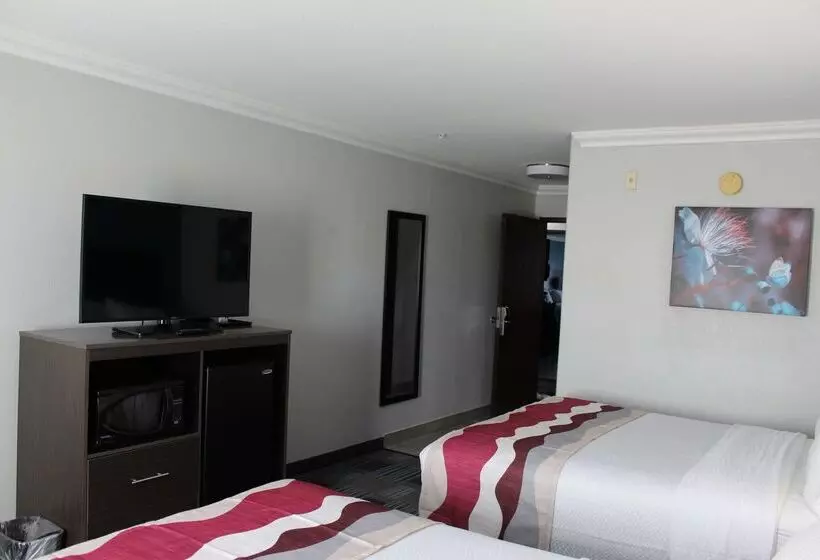 בית מלון כפרי Best Western Medical Center North Inn & Suites Near Six Flags