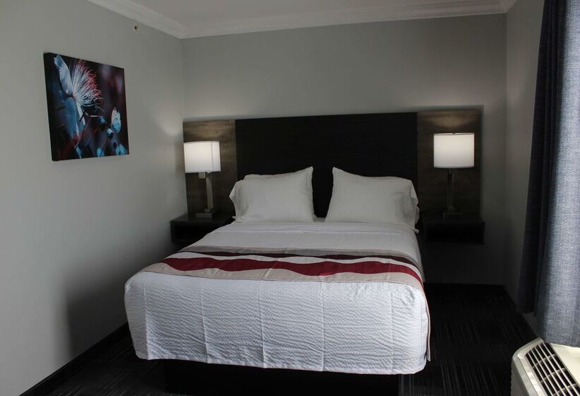 هتل Best Western Medical Center North Inn & Suites Near Six Flags