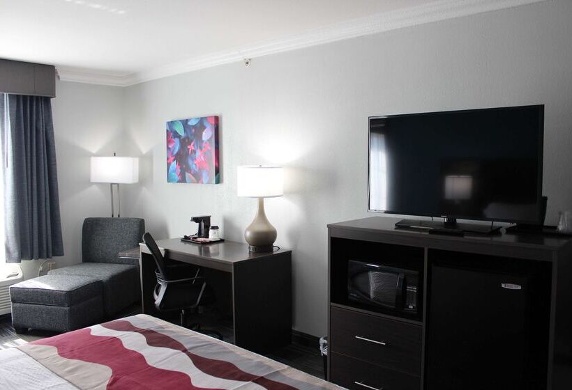 هتل Best Western Medical Center North Inn & Suites Near Six Flags