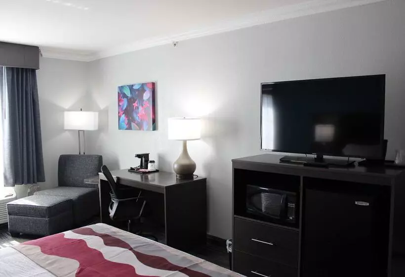 בית מלון כפרי Best Western Medical Center North Inn & Suites Near Six Flags