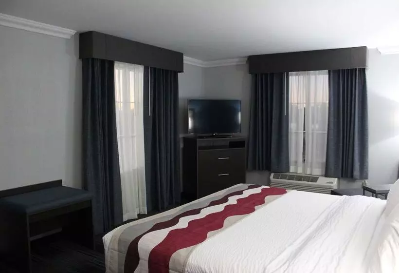 ホテル Best Western Medical Center North Inn & Suites Near Six Flags