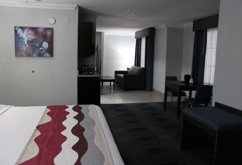 هتل Best Western Medical Center North Inn & Suites Near Six Flags