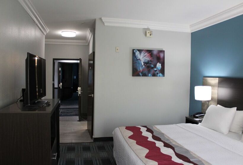 هتل Best Western Medical Center North Inn & Suites Near Six Flags