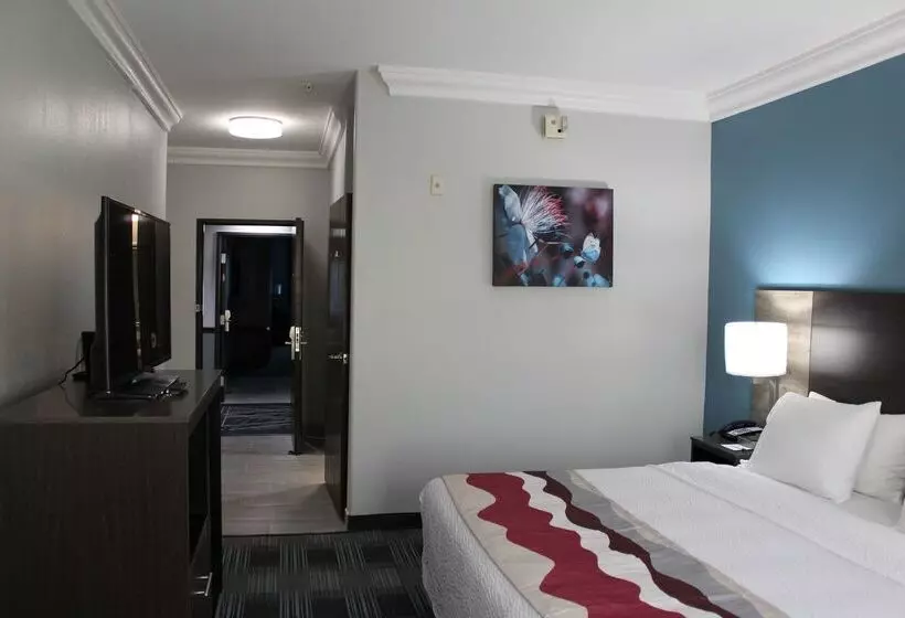 בית מלון כפרי Best Western Medical Center North Inn & Suites Near Six Flags