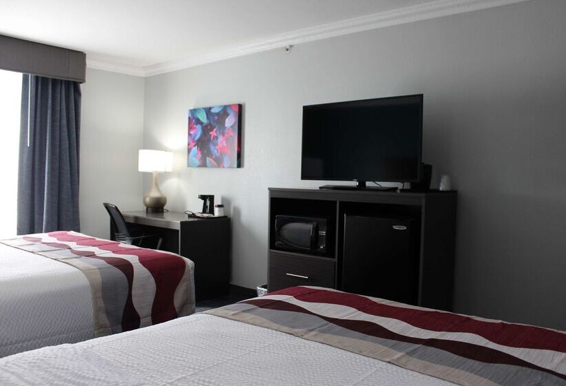 هتل Best Western Medical Center North Inn & Suites Near Six Flags