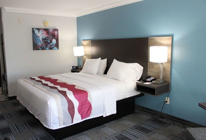 هتل Best Western Medical Center North Inn & Suites Near Six Flags