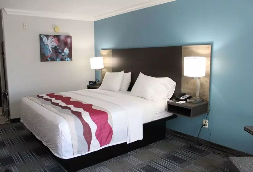 בית מלון כפרי Best Western Medical Center North Inn & Suites Near Six Flags