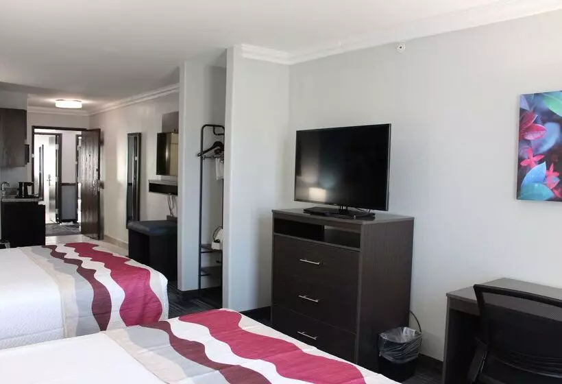 בית מלון כפרי Best Western Medical Center North Inn & Suites Near Six Flags