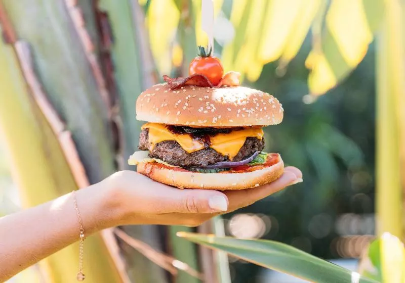 호텔 Hôtel Font Mourier