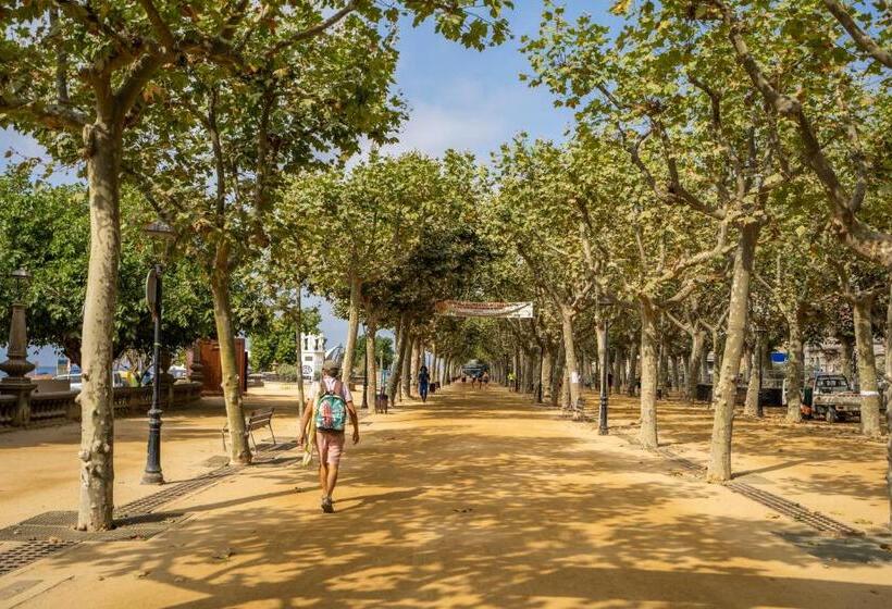 בית מלון כפרי Mar Blau