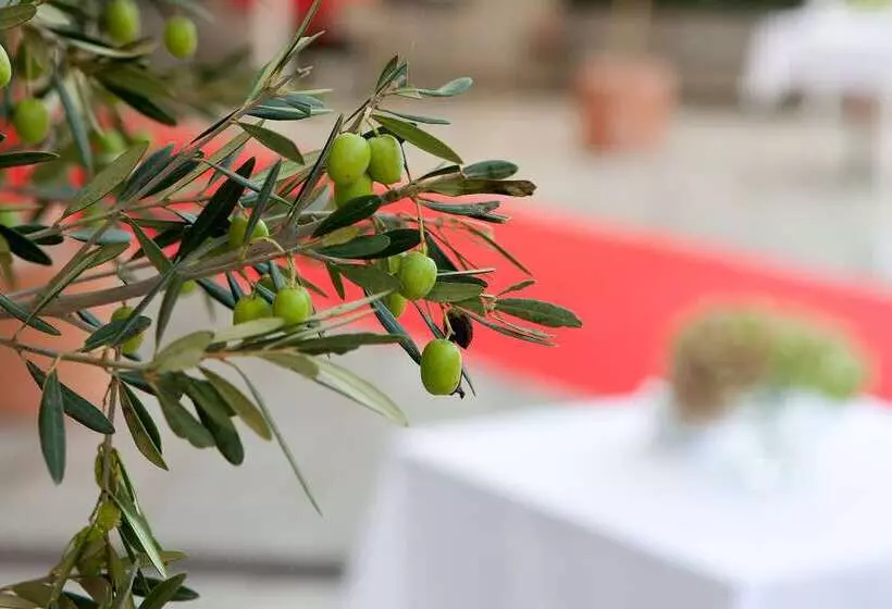 호텔 NH La Avanzada