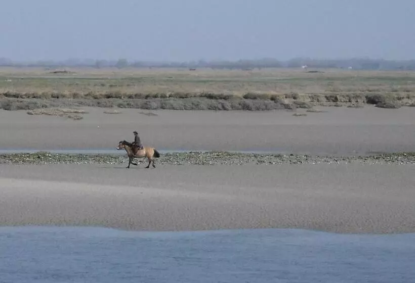 Madame Vacances Les Terrasses De La Plage