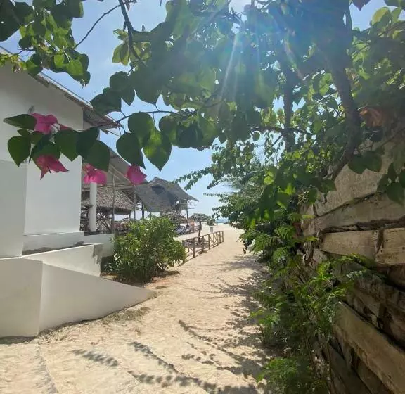 ベッドアンドブレックファースト Ndiro Beach House Kendwa