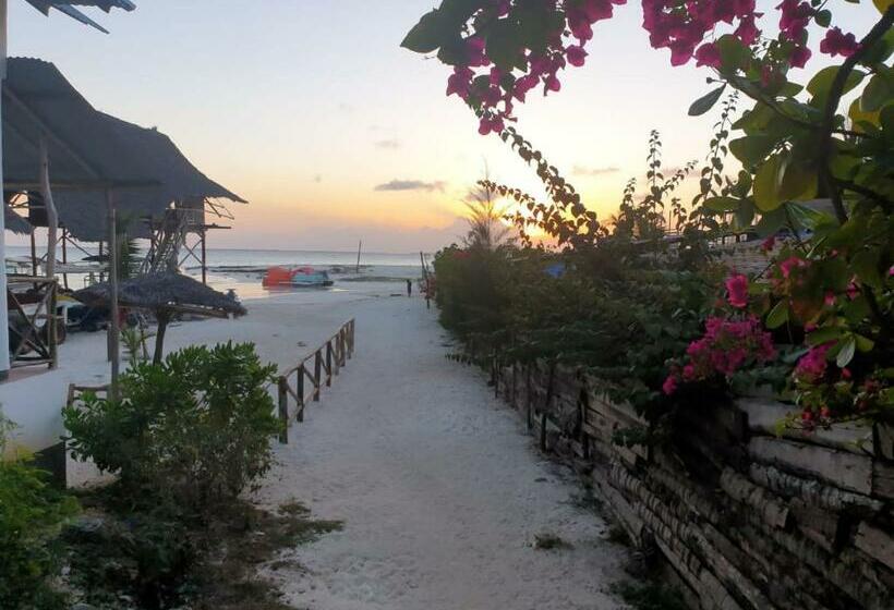 مبيت وإفطار Ndiro Beach House Kendwa