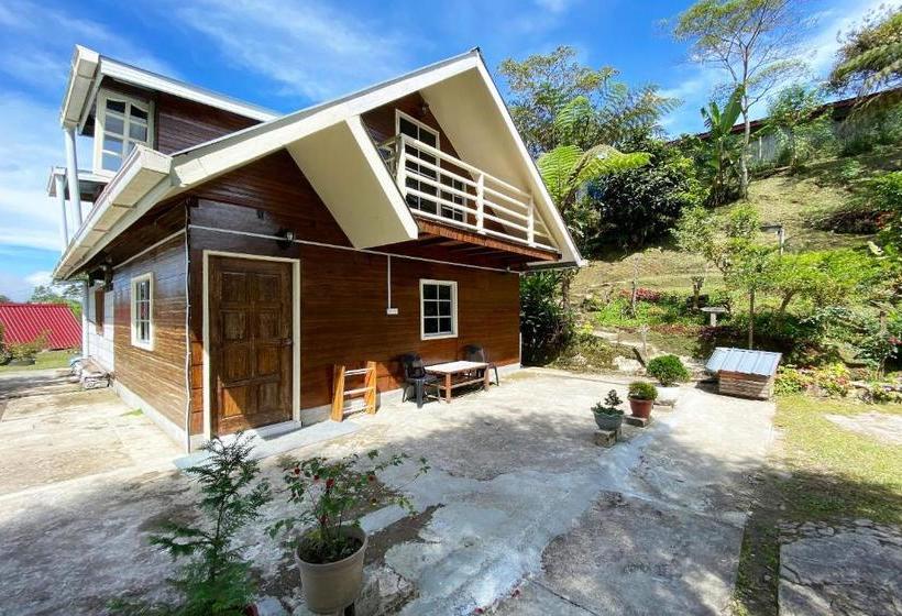 בית מלון כפרי Lily Cottage & Kitchen