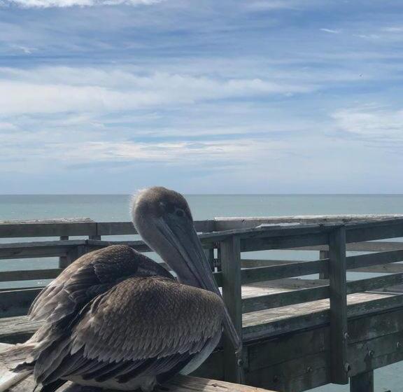 Luxury 2 Beds 2 Bath Ocean Front Condo