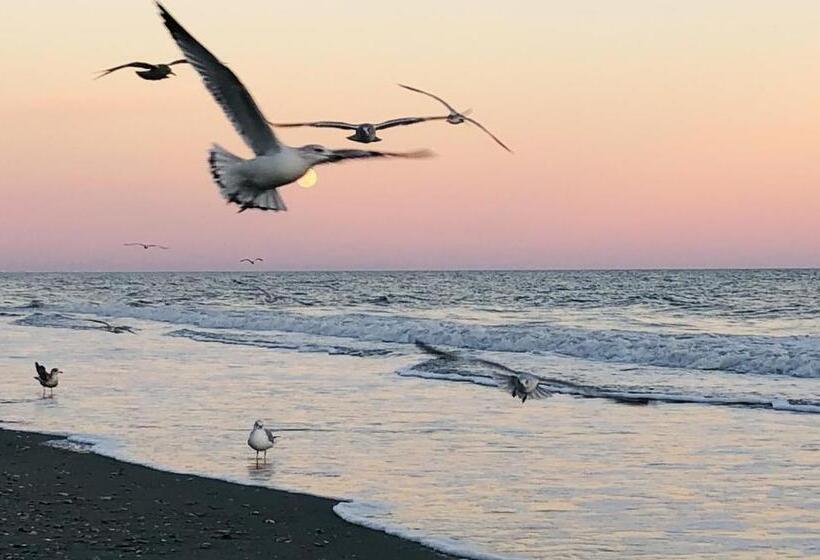 Luxury 2 Beds 2 Bath Ocean Front Condo