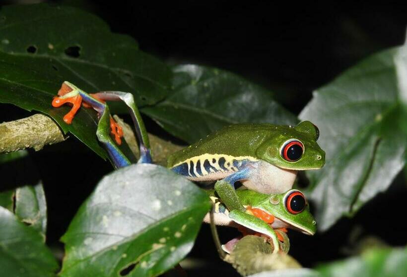 هاستل Rio Celeste Backpackers