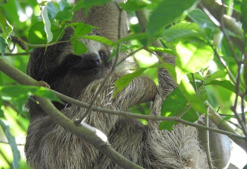 هاستل Rio Celeste Backpackers