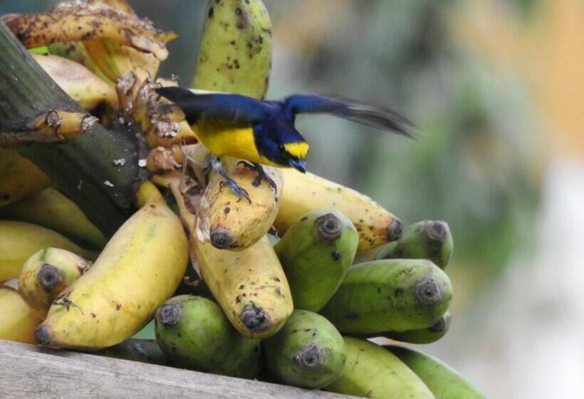 هاستل Rio Celeste Backpackers