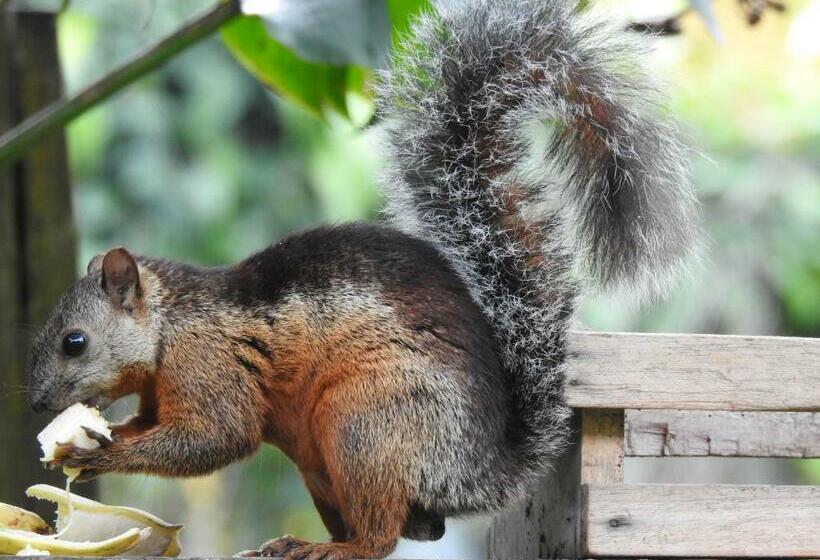 هاستل Rio Celeste Backpackers