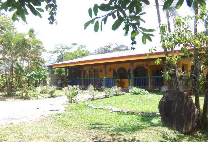 هاستل Rio Celeste Backpackers